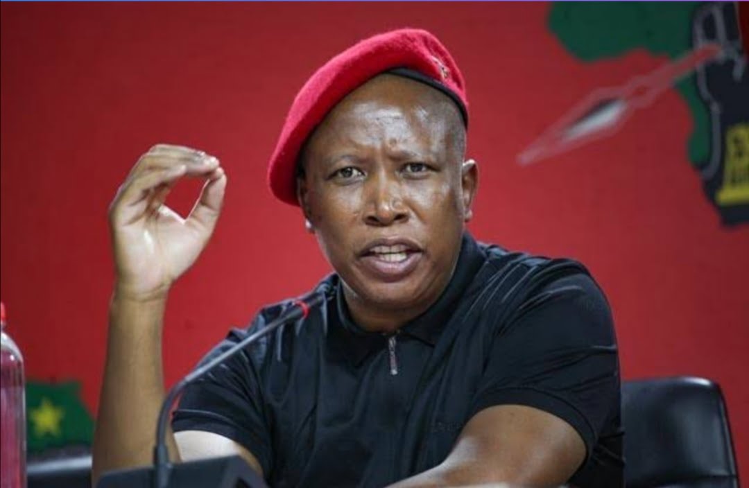 What EFF Leader Julius Malema said about foreigners divides the nation