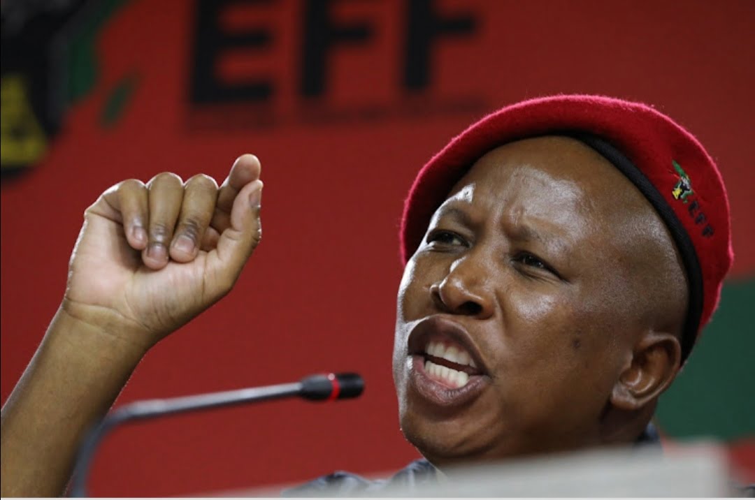 Malema defends EFF’s failure to disclose funders