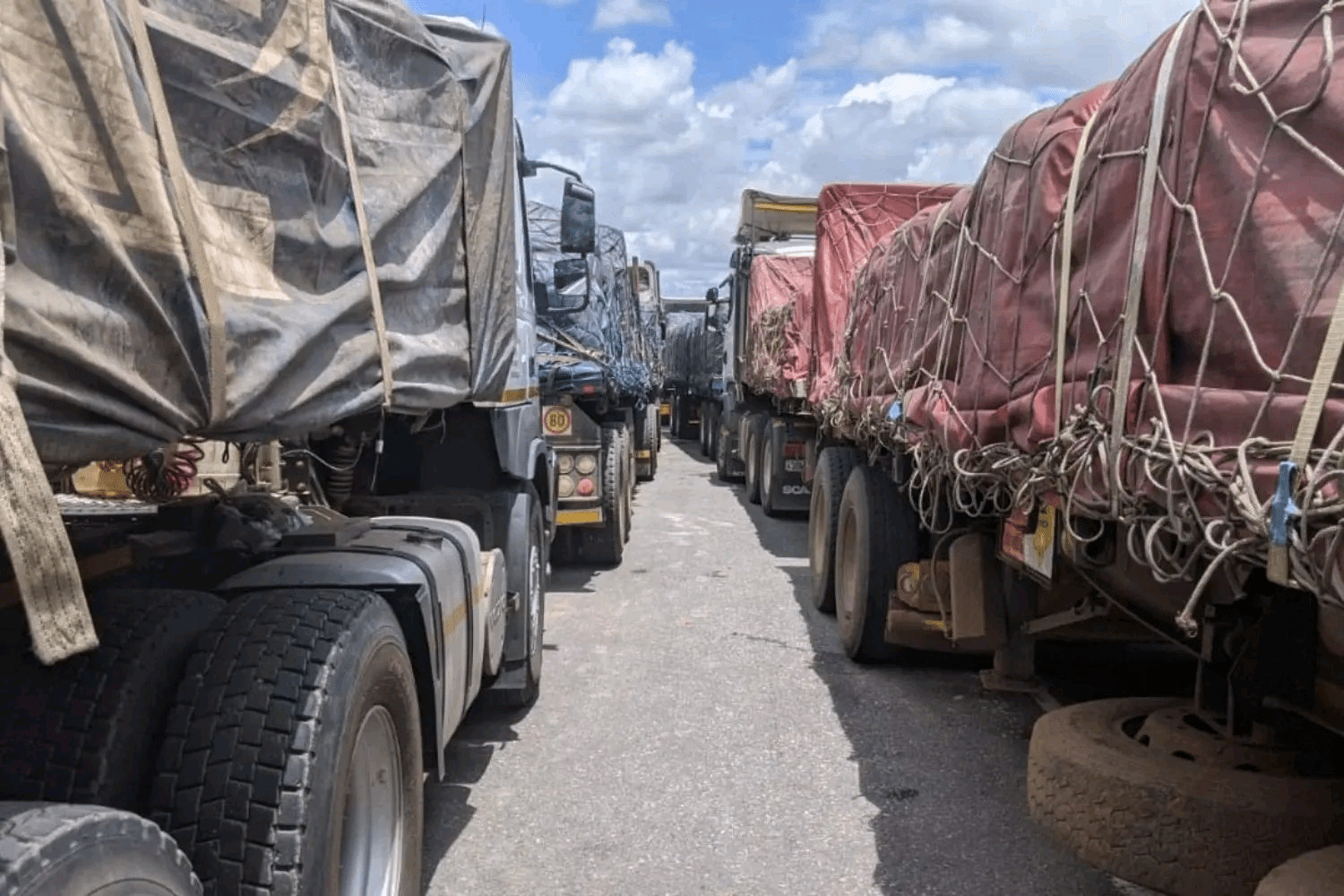 Road closures expected as truckers protest over foreign nationals